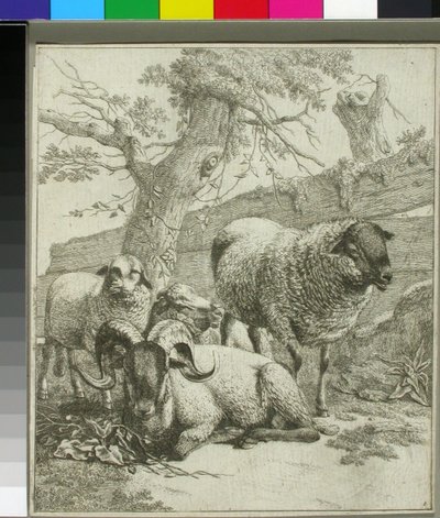 Ohne Titel av Johann Heinrich Roos