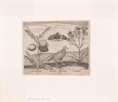 Serie med trykk med blomster og dyr i et landskap Landskap med sitronplante, vaktel og speedwell Landskap med dyr, planter og blomster (serietittel) av Johann Hogenberg