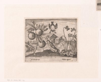 Serie med trykk med blomster og dyr i et landskap Landskap med sitrusplanter, fugler og fioler Landskap med dyr, planter og blomster (serietittel) av Johann Hogenberg