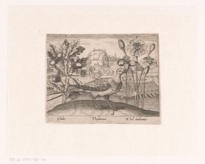 Serie med trykk med blomster og dyr i et landskap Landskap med eik, fasan og krysantemum Landskap med dyr, planter og blomster (serietittel) av Johann Hogenberg