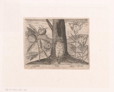Serie med trykk med blomster og dyr i et landskap Landskap med mispel, lilje og ugle Landskap med dyr, planter og blomster (serietittel) av Johann Hogenberg