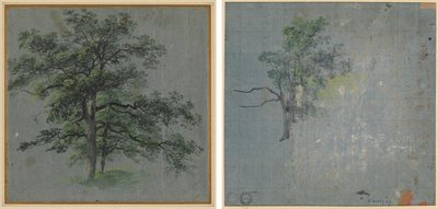 To trær (recto) Trestudier (verso) av Johann Jacob Dorner