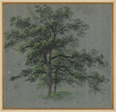 Two Trees recto Tree Studies verso, første halvdel av 1800-tallet. av Johann Jacob Dorner