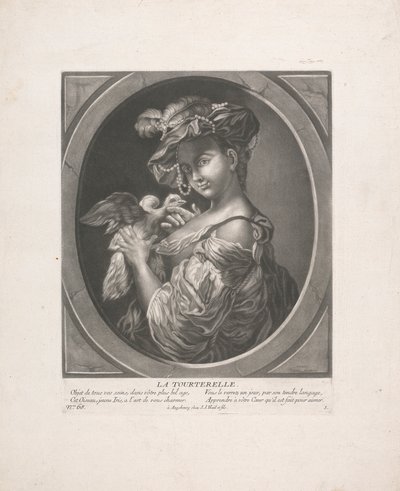 Duen av Johann Jacobus Haid