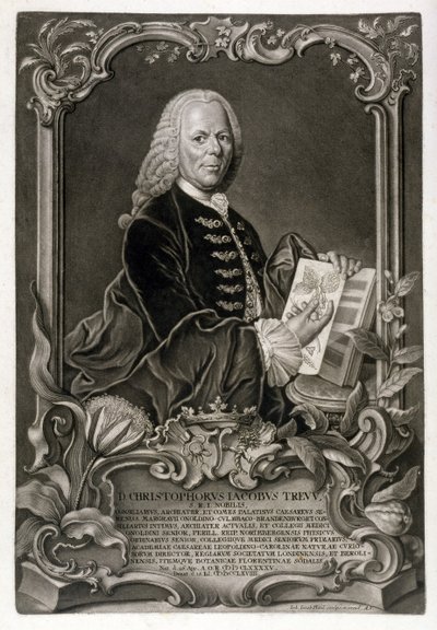 C. J. Trew, botaniker, pub. ca. 1768 av Johann Jakob Haid