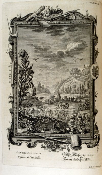 Kobberstikk fra 'Physica Sacra' av den sveitsiske lærde. Johann Jakob Scheuchzer av Johann Jakob Scheuchzer