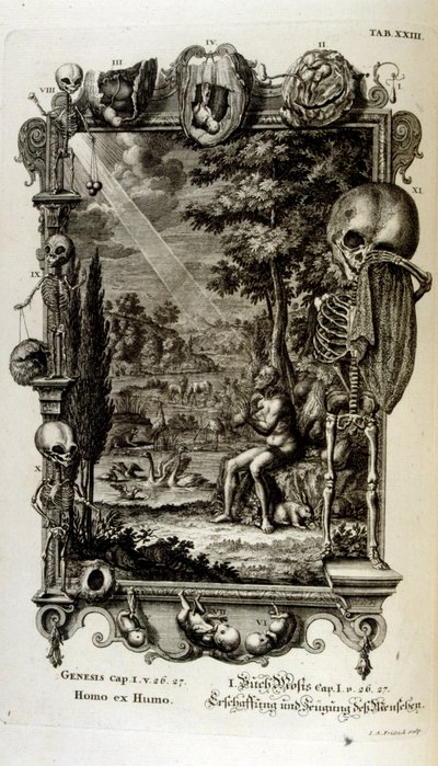Kobberstikk fra 'Physica Sacra' av den sveitsiske lærde. Johann Jakob Scheuchzer av Johann Jakob Scheuchzer