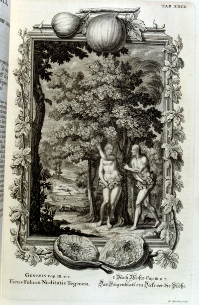 Kobberstikk fra 'Physica Sacra' av den sveitsiske lærde. Johann Jakob Scheuchzer av Johann Jakob Scheuchzer