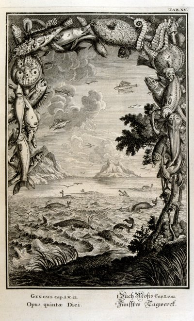 Kobberstikk fra 'Physica Sacra' av den sveitsiske lærde. Johann Jakob Scheuchzer av Johann Jakob Scheuchzer
