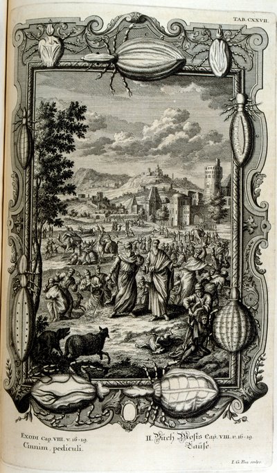 Pest av lus og mygg av Johann Jakob Scheuchzer