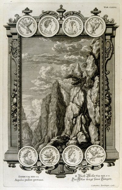 Zevs symbolisert som en ørn av Johann Jakob Scheuchzer