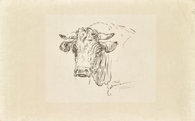 oksehode av Johann Josef Schindler