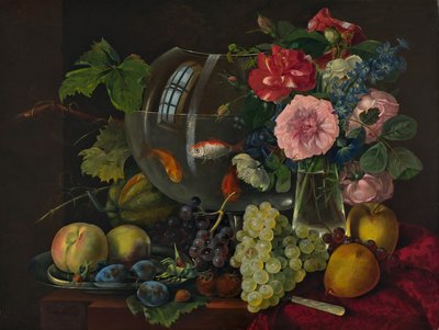  av Johann Knapp