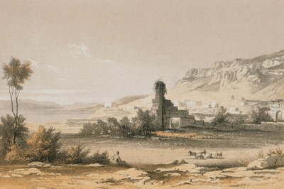 Magdala (Majdal Shams). Etsning av Bernatz et alii - Steinkopk J.F. Editore av Johann Martin Bernatz