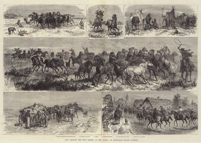 Livet blant villhestene i Puszta, eller det ungarske hedelandet av Johann Nepomuk Schonberg