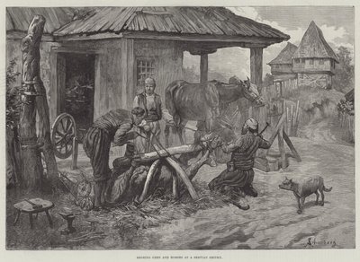 Skoing av okser og hester på en servisk smedje av Johann Nepomuk Schonberg