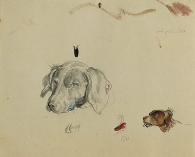 hundestudie av Johann Peter Krafft