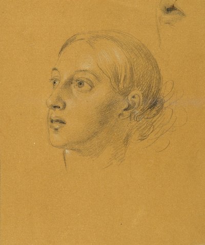 Hovedstudie for "Arindal og Daura" av Johann Peter Krafft