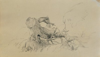 Rotsystem, falt tre av Johann Peter Krafft