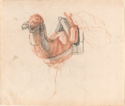 Kamel av Johann Rudolph Schellenberg