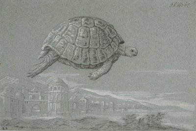 Studie av en skilpadde og utsikter til en befestet by ved sjøen (Venezia) av Johann Salomon Wahl