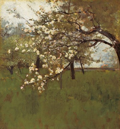  av Johann Sperl
