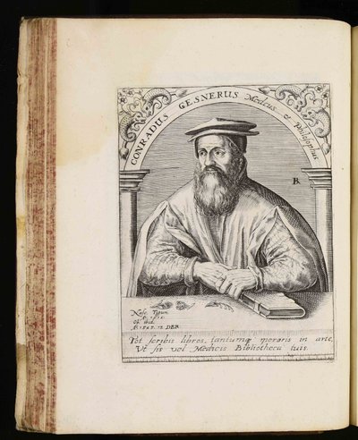  av Johann Theodor de Bry