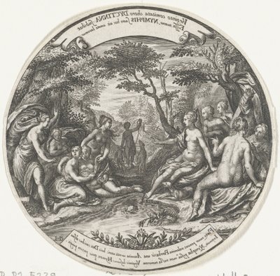 Diana oppdager Callisto .s graviditet av Johann Theodor de Bry