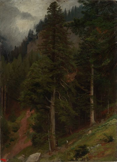 Skråning i granskog av Johann Wilhelm Schirmer