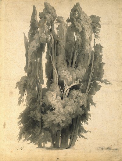 Sypresser i parken ved Villa d’Este i Tivoli av Johann Wilhelm Schirmer