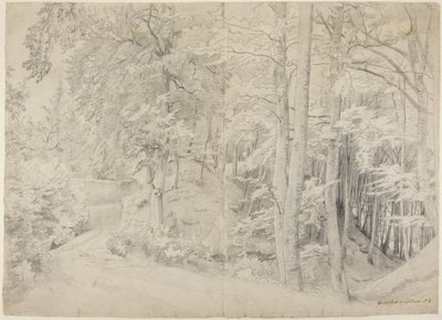 I bøkeskogen av Johann Wilhelm Schirmer