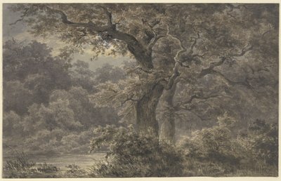  av Johann Wilhelm Schirmer