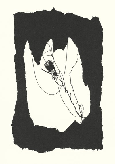  av Johanna Beckmann