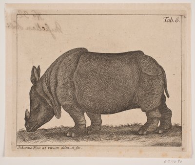Et neshorn av Johanna Fosie