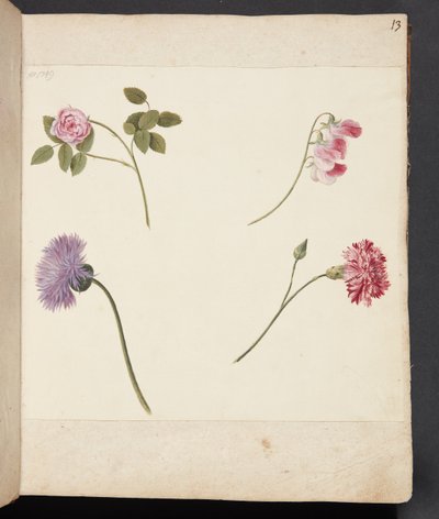 Studie av blomster av Johanna Fosie