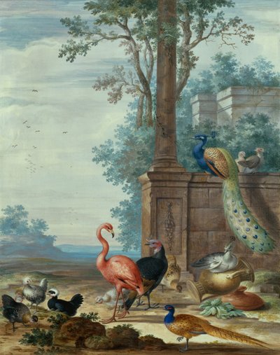 Et italiensk landskap med en påfugl, fasan, flamingo og andre fugler (gouache) av Johannes Bronckhorst