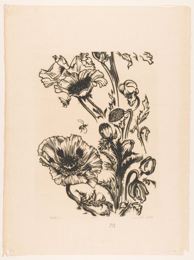 Studer papavers (originaltittel på objekt) av Johannes Frederik Engelbert ten Klooster (signed by artist)