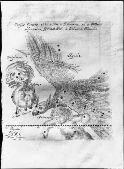 Kometen oppdaget og observert av Johannes Hevelius fra 3. februar til 28. mars 1661 i Gdansk av Johannes Hevelius