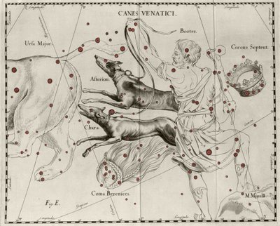 Stjernebildet Canes Venatici, Jakthunder. Plate tegnet fra "" Firmamentum Sobiescanum sive Uranographia"" av Johannes Hevelius eller Hevel (1611-1687) av Johannes Hevelius
