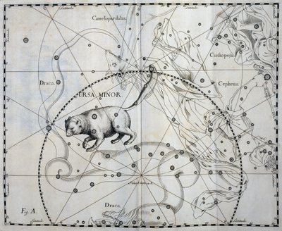 Ursa Minor, Boreal konstellasjon av Ursa Minor, gravering fra himmelatlas Firmamentum Sobiescianum sive Uronographia, av Johann Hevelius (1611-1687), Gdansk av Johannes Hevelius