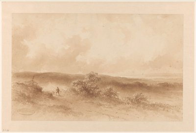sanddynelandskap av Johannes Hilverdink