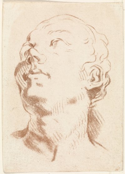 Kvinnes hode av Johannes Janson (possibly)