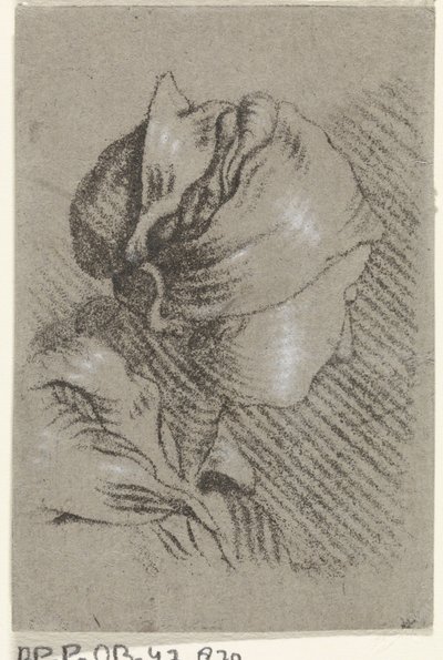 kvinnebyste av Johannes Janson (possibly)