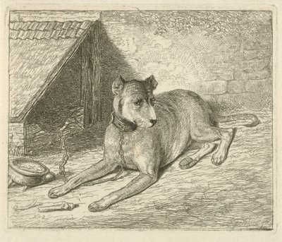Hund på en kjede ved et hundehus av Johannes Mock