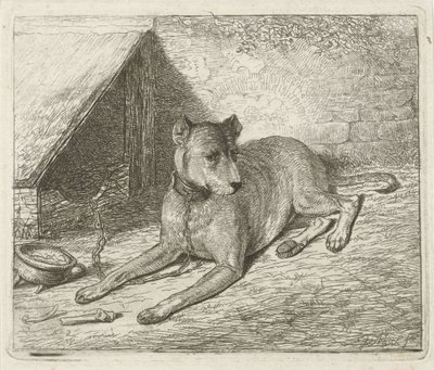 Hund på en lenke ved et hundehus av Johannes Mock