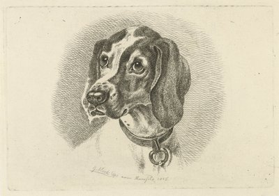 Hundehode med halsbånd med ring av Johannes Mock