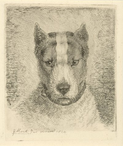 Hundehode med halsbånd av Johannes Mock