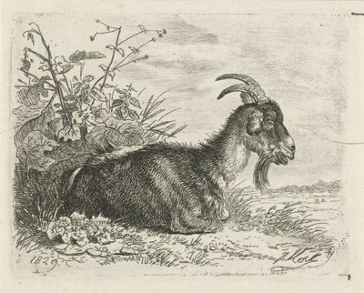 Liggende bok av Johannes Mock
