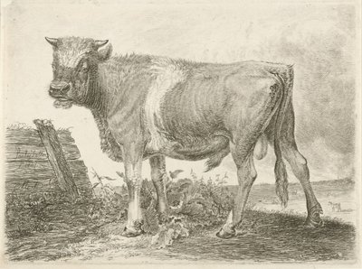 Stier av Johannes Mock