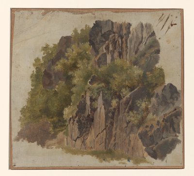Berg og vegetasjon av Johannes Tavenraat